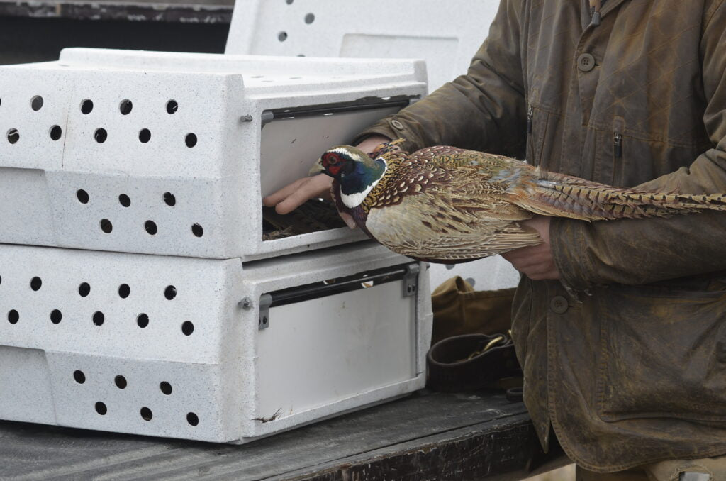 Pheasant Crates