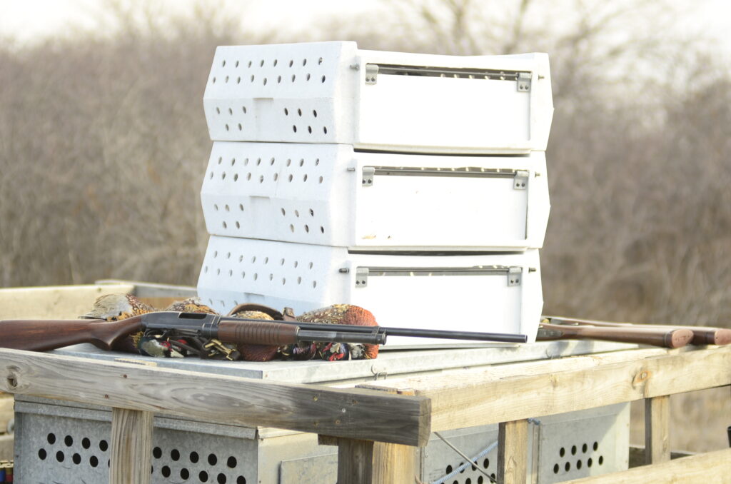 Pheasant Crates