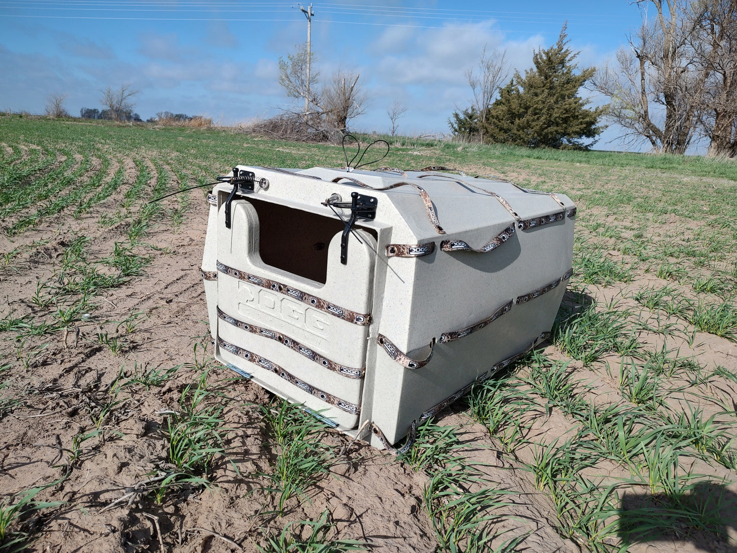 Spring Release Dog Blind